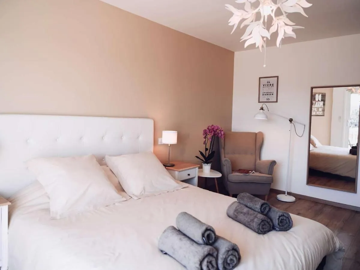 Villa Maurine - Piscine Chauffee - Spa - Clim - Salle De Fitness Castelnau-de-Montmiral 0*,